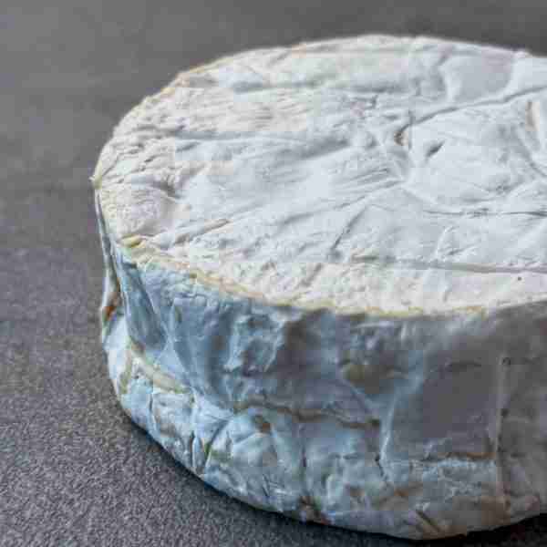 camembert