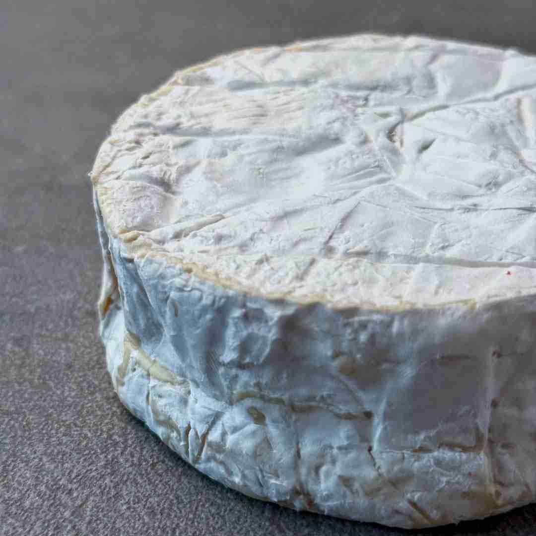 camembert