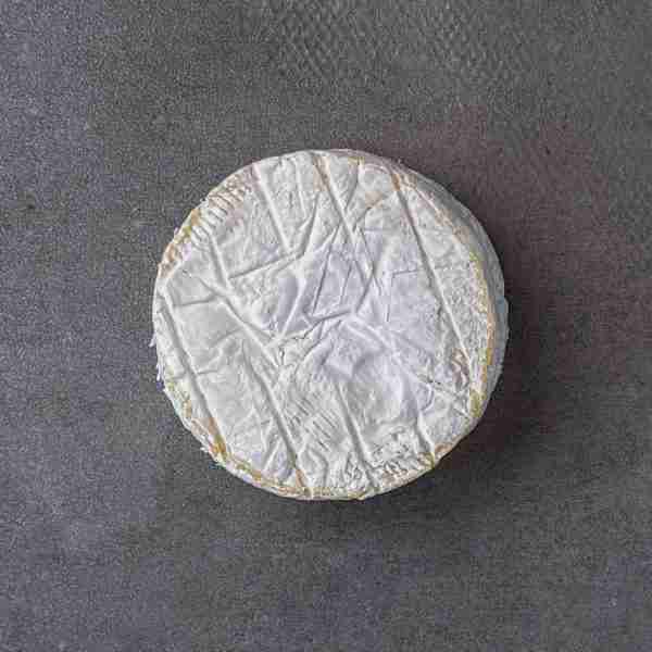 camembert frenchy gillot